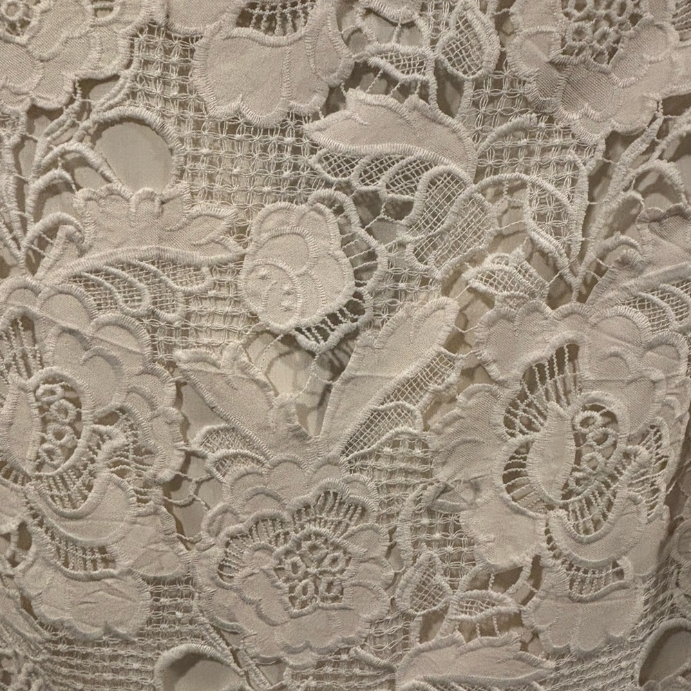 MESTIZA Carmen Lace Mini Dress - Picture 4 of 6